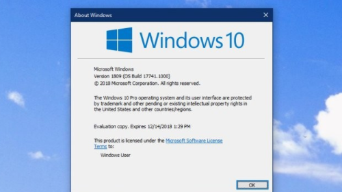  :   Windows 10  1809